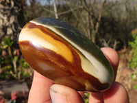 Polished  Polychrome / Picasso Jasper Palm Stones  x 12 From Mahajanga, Madagascar