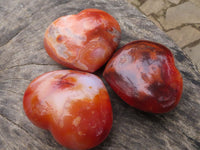 Polished Beautiful Carnelian Agate Hearts  x 6 From Madagascar - TopRock