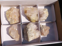 Natural White Cactus Flower Spirit Quartz Specimens x 6 From Boekenhouthoek, South Africa