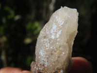 Natural Drusy Quartz Coated Fluorescent Peach Calcite Crystal Specimens  x 35 From Alberts Mountain, Lesotho - Toprock Gemstones and Minerals 