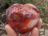 Polished Beautiful Carnelian Agate Hearts  x 6 From Madagascar - TopRock