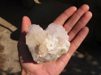 Natural White Cactus Flower Spirit Quartz Specimens x 6 From Boekenhouthoek, South Africa