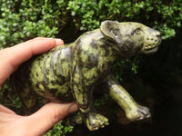 Polished  Leopard Stone Lioness - Medium - Sold per piece - From Zimbabwe - TopRock