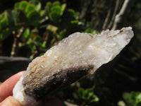 Natural Drusy Quartz Coated Fluorescent Peach Calcite Crystal Specimens  x 35 From Alberts Mountain, Lesotho - Toprock Gemstones and Minerals 