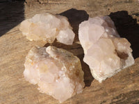 Natural White Cactus Flower Spirit Quartz Specimens x 6 From Boekenhouthoek, South Africa