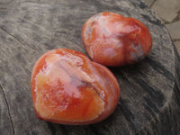 Polished Beautiful Carnelian Agate Hearts  x 6 From Madagascar - TopRock