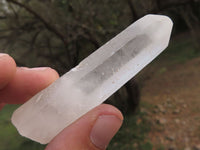 Natural Single Clear Quartz Crystals  x 48 From Madagascar - TopRock