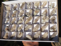 Natural Drusy Quartz Coated Fluorescent Peach Calcite Crystal Specimens  x 35 From Alberts Mountain, Lesotho - Toprock Gemstones and Minerals 