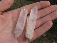 Natural Single Clear Quartz Crystals  x 48 From Madagascar - TopRock