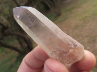 Natural Single Clear Quartz Crystals  x 48 From Madagascar - TopRock