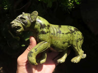 Polished  Leopard Stone Lioness - Large - Sold per piece - From Zimbabwe - TopRock