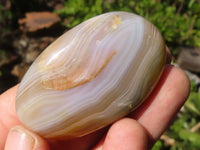 Polished Lovely Banded Agate Palm Stones  x 12 From Madagascar - Toprock Gemstones and Minerals 