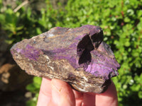 Natural Rough Small Purpurite Specimens x 9 From Erongo, Namibia - TopRock