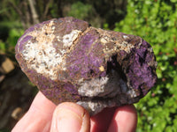 Natural Rough Small Purpurite Specimens x 9 From Erongo, Namibia - TopRock