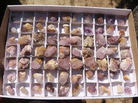 Natural Small Spirit Amethyst Crystals  x 70 From Boekenhouthoek, South Africa - Toprock Gemstones and Minerals 