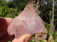 Natural Small Spirit Amethyst Crystals  x 70 From Boekenhouthoek, South Africa - Toprock Gemstones and Minerals 