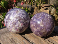 Polished  Purple Lepidolite Spheres With Pink Tourmaline On Some  x 3 From Madagascar