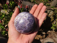 Polished  Purple Lepidolite Spheres With Pink Tourmaline On Some  x 3 From Madagascar