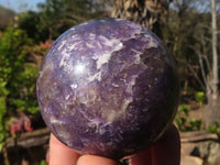 Polished  Purple Lepidolite Spheres With Pink Tourmaline On Some  x 3 From Madagascar