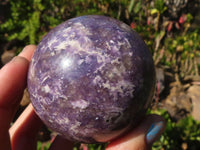 Polished  Purple Lepidolite Spheres With Pink Tourmaline On Some  x 3 From Madagascar