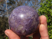 Polished  Purple Lepidolite Spheres With Pink Tourmaline On Some  x 3 From Madagascar