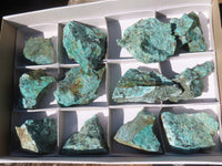 Natural Rough Chrysocolla Specimens  x 12 From Old Blue Mine, South Africa - Toprock Gemstones and Minerals 