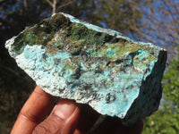 Natural Rough Chrysocolla Specimens  x 12 From Old Blue Mine, South Africa - Toprock Gemstones and Minerals 