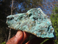 Natural Rough Chrysocolla Specimens  x 12 From Old Blue Mine, South Africa - Toprock Gemstones and Minerals 