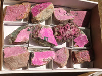 Natural Salrose Cobaltion Dolomite Specimens x 12 From Kakanda, Congo