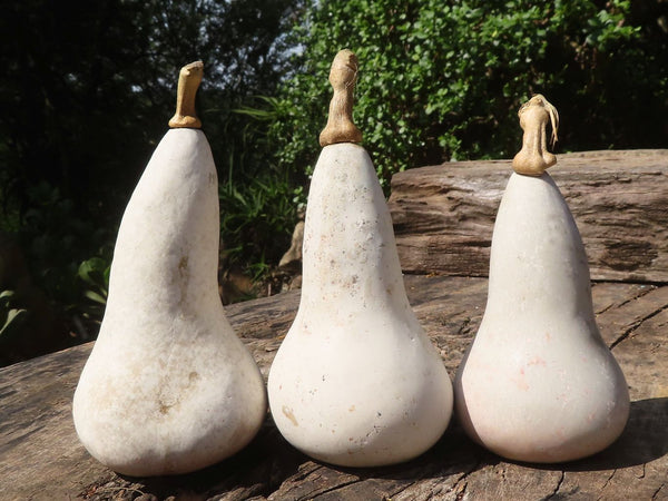 Polished Butternut Carvings  x 3 From Zimbabwe - TopRock