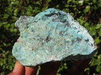 Natural Rough Chrysocolla Specimens  x 12 From Old Blue Mine, South Africa - Toprock Gemstones and Minerals 