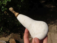 Polished Butternut Carvings  x 3 From Zimbabwe - TopRock