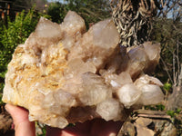 Natural Large Cascading White Phantom Smokey Quartz Cluster x 1 From Luena, Congo