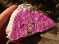 Natural Salrose Cobaltion Dolomite Specimens x 12 From Kakanda, Congo