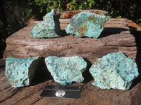 Natural Rough Chrysocolla Specimens  x 12 From Old Blue Mine, South Africa - Toprock Gemstones and Minerals 