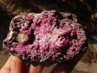 Natural Salrose Cobaltion Dolomite Specimens x 12 From Kakanda, Congo