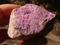 Natural Salrose Cobaltion Dolomite Specimens x 12 From Kakanda, Congo