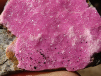 Natural Salrose Cobaltion Dolomite Specimens x 12 From Kakanda, Congo