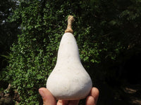 Polished Butternut Carvings  x 3 From Zimbabwe - TopRock