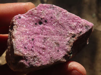 Natural Salrose Cobaltion Dolomite Specimens x 12 From Kakanda, Congo