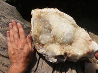 Natural Extra Large Agate Plate  x 1 From Zululand, South Africa - TopRock