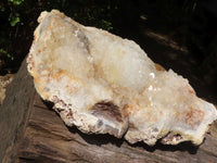 Natural Extra Large Agate Plate  x 1 From Zululand, South Africa - TopRock