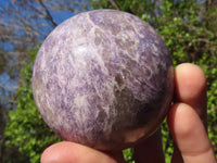 Polished Purple Lepidolite Spheres With Rubellite On Some  x 3 From Ambatondrazaka, Madagascar - Toprock Gemstones and Minerals 