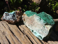 Natural Drusy Coated Chrysocolla With Malachite & Heterogonite   x 2 From Likasi, Congo - Toprock Gemstones and Minerals 