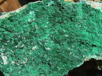 Natural Drusy Coated Chrysocolla With Malachite & Heterogonite   x 2 From Likasi, Congo - Toprock Gemstones and Minerals 