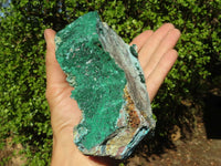 Natural Drusy Coated Chrysocolla With Malachite & Heterogonite   x 2 From Likasi, Congo - Toprock Gemstones and Minerals 