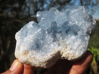 Natural Blue Celestite Crystal Specimens  x 3 From Sakoany, Madagascar - Toprock Gemstones and Minerals 