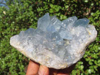 Natural Blue Celestite Crystal Specimens  x 3 From Sakoany, Madagascar - Toprock Gemstones and Minerals 