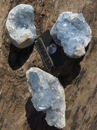 Natural Blue Celestite Crystal Specimens  x 3 From Sakoany, Madagascar - Toprock Gemstones and Minerals 