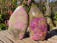 Polished  Purple Stichtite & Serpentine Standing Free Forms x 2 From Barberton, South Africa